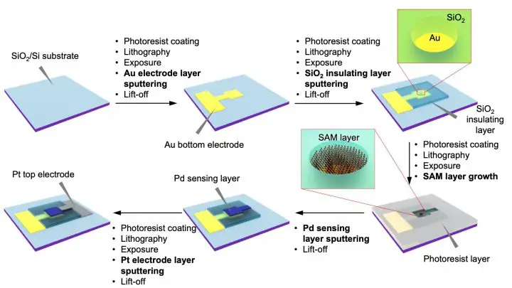 Hydrogen Sensor Innovation: Interfacial Stress Decoupling Enhances Palladium-Based Detection
