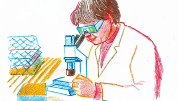 Green Hydrogen Boosted by Quasi-2D Tellurium Nanosheets