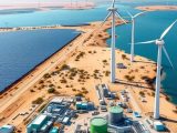 Egypt’s SCZone and UNIDO launch a green hydrogen program in the Suez Canal zone, using solar- and wind-powered electrolysis to diversify the economy, create jobs and position the country as a clean energy exporter.