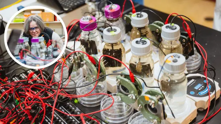 Microbial Fuel Cells Unlock Self-Powered Underwater Sensors